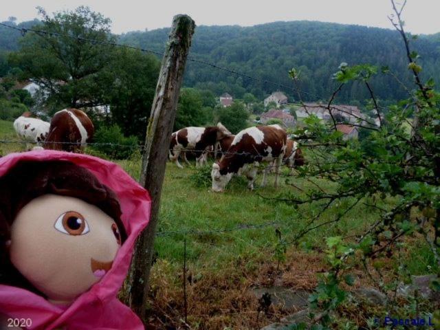 Gite Rural Les Maires D'Avaux Saint-Bresson Εξωτερικό φωτογραφία