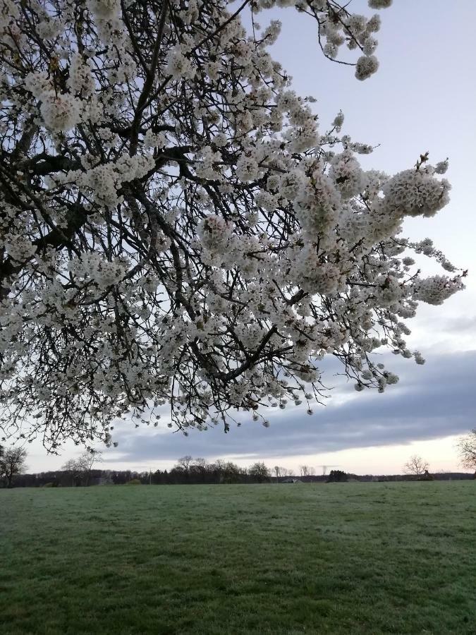 Gite Rural Les Maires D'Avaux Saint-Bresson Εξωτερικό φωτογραφία